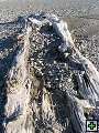 thn_NZ leden-unor 2006 061.jpg